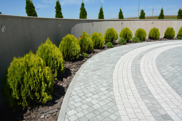 Reasons to Select Us for Your Driveway Paving Requirements in Fontana, CA